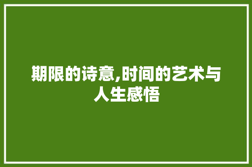 期限的诗意,时间的艺术与人生感悟