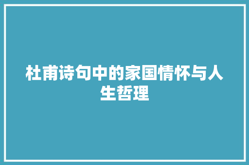 杜甫诗句中的家国情怀与人生哲理