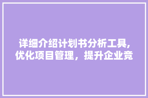 详细介绍计划书分析工具,优化项目管理，提升企业竞争力