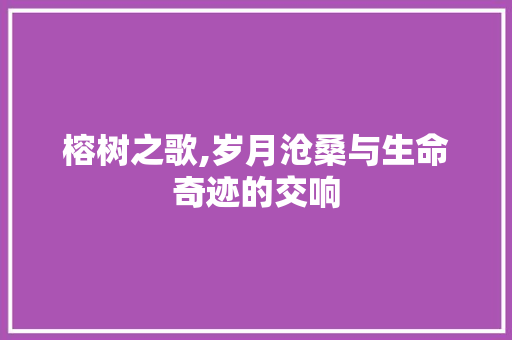 榕树之歌,岁月沧桑与生命奇迹的交响