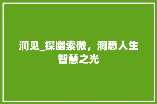 洞见_探幽索微，洞悉人生智慧之光