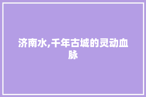 济南水,千年古城的灵动血脉