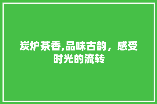 炭炉茶香,品味古韵，感受时光的流转