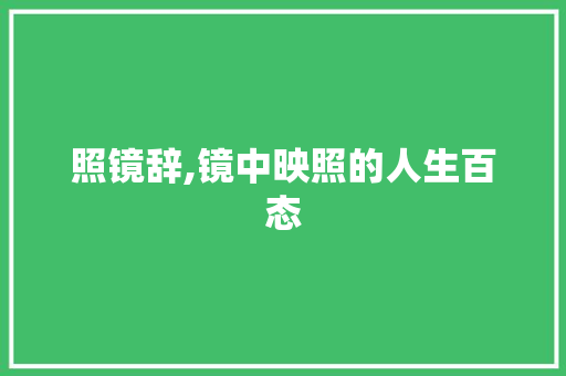 照镜辞,镜中映照的人生百态
