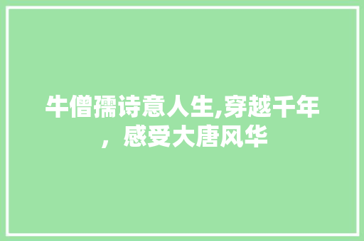 牛僧孺诗意人生,穿越千年，感受大唐风华