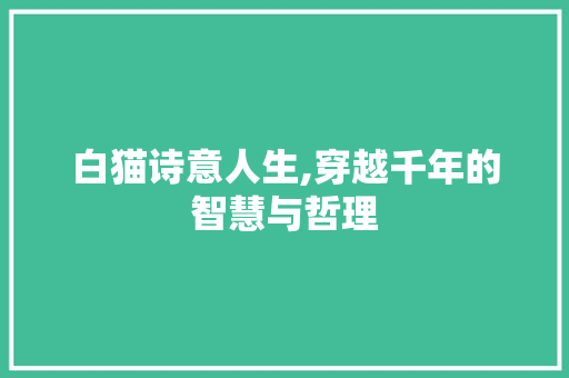白猫诗意人生,穿越千年的智慧与哲理