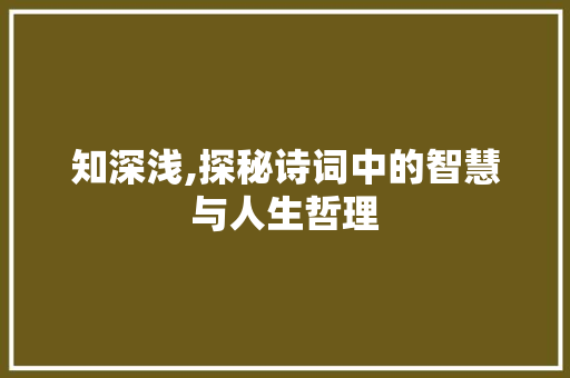 知深浅,探秘诗词中的智慧与人生哲理
