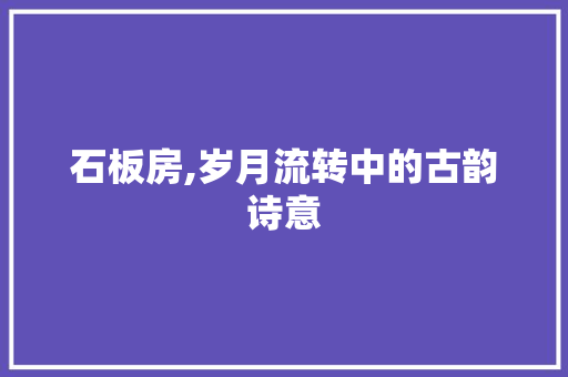 石板房,岁月流转中的古韵诗意
