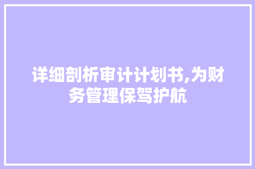 详细剖析审计计划书,为财务管理保驾护航