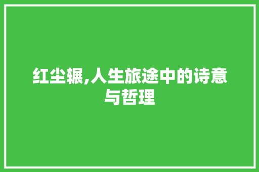红尘辗,人生旅途中的诗意与哲理