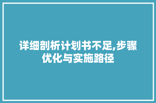 详细剖析计划书不足,步骤优化与实施路径