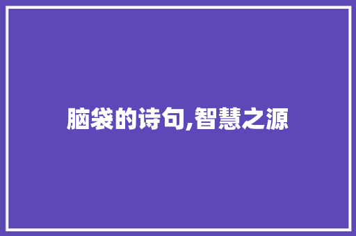 脑袋的诗句,智慧之源