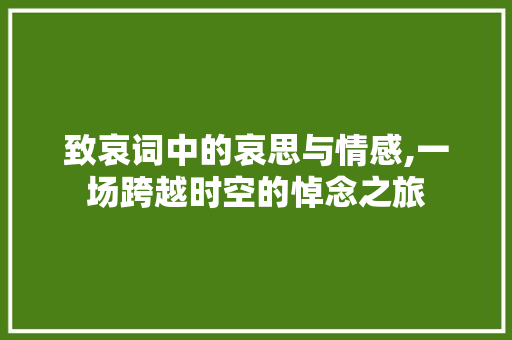 致哀词中的哀思与情感,一场跨越时空的悼念之旅
