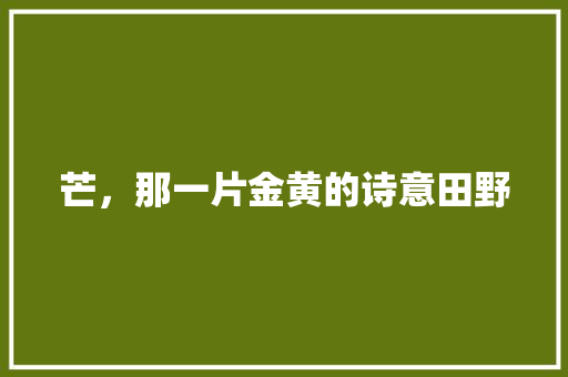 芒，那一片金黄的诗意田野