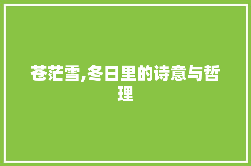 苍茫雪,冬日里的诗意与哲理