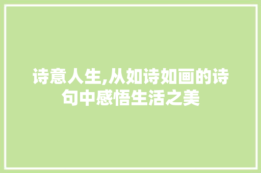 诗意人生,从如诗如画的诗句中感悟生活之美