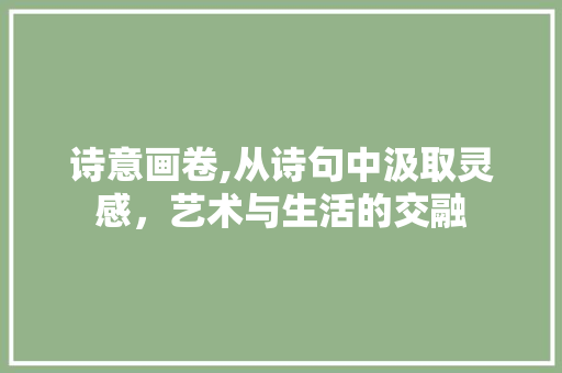 诗意画卷,从诗句中汲取灵感，艺术与生活的交融