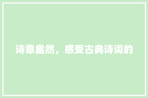 诗意盎然，感受古典诗词的