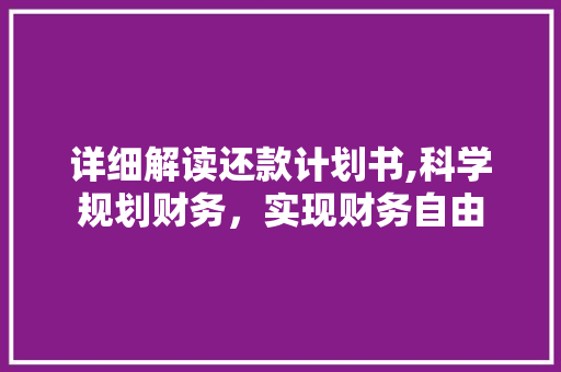 详细解读还款计划书,科学规划财务，实现财务自由