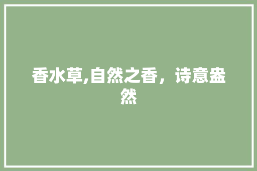 香水草,自然之香，诗意盎然