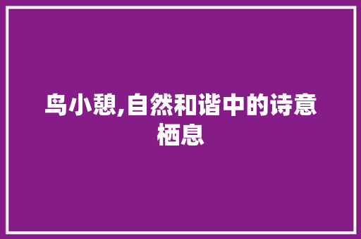 鸟小憩,自然和谐中的诗意栖息