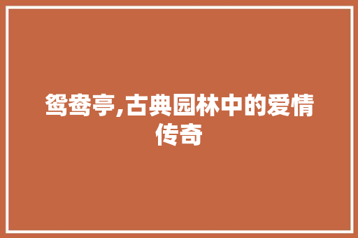鸳鸯亭,古典园林中的爱情传奇 特写稿