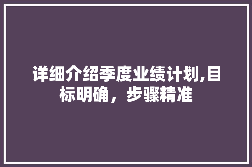 详细介绍季度业绩计划,目标明确，步骤精准