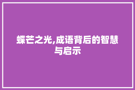 蝶芒之光,成语背后的智慧与启示