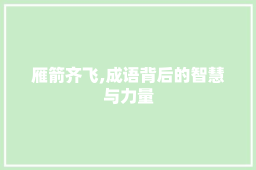 雁箭齐飞,成语背后的智慧与力量