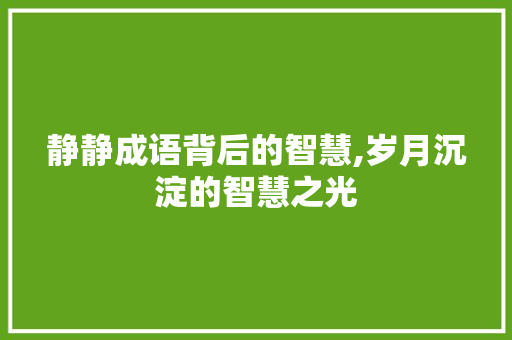 静静成语背后的智慧,岁月沉淀的智慧之光