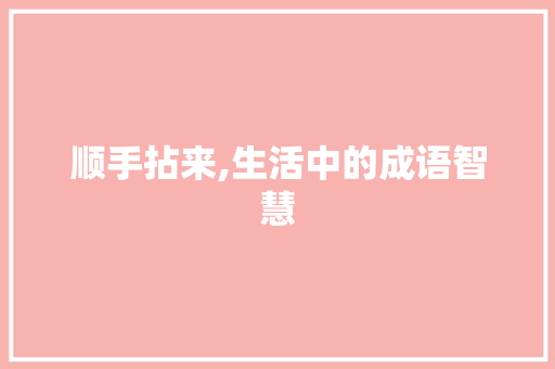 顺手拈来,生活中的成语智慧