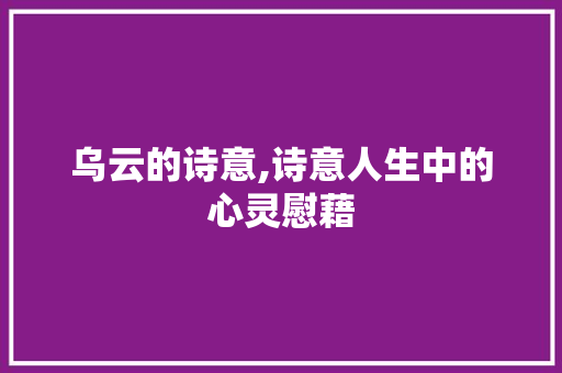 乌云的诗意,诗意人生中的心灵慰藉