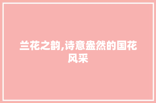 兰花之韵,诗意盎然的国花风采
