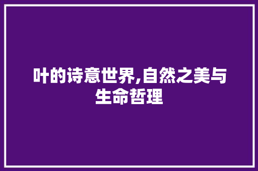 叶的诗意世界,自然之美与生命哲理