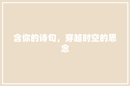 含你的诗句，穿越时空的思念