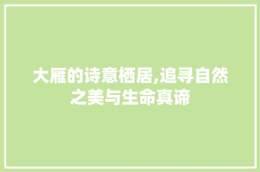 大雁的诗意栖居,追寻自然之美与生命真谛