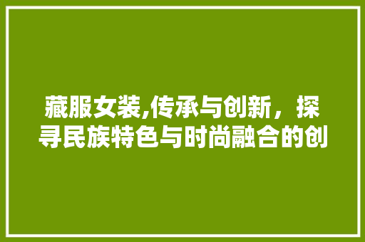 藏服女装,传承与创新，探寻民族特色与时尚融合的创业之路