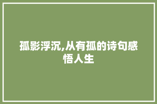 孤影浮沉,从有孤的诗句感悟人生