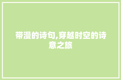 带漫的诗句,穿越时空的诗意之旅