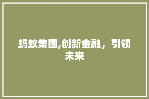 蚂蚁集团,创新金融，引领未来