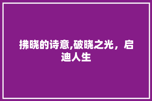 拂晓的诗意,破晓之光，启迪人生