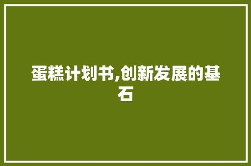 蛋糕计划书,创新发展的基石 采访稿