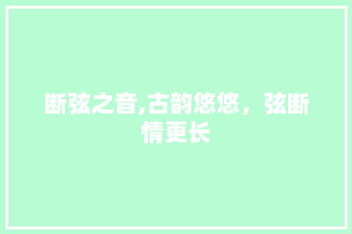 断弦之音,古韵悠悠，弦断情更长 工作报告