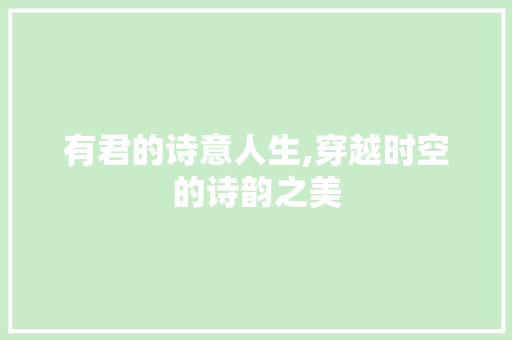 有君的诗意人生,穿越时空的诗韵之美