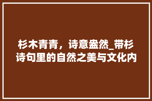 杉木青青，诗意盎然_带杉诗句里的自然之美与文化内涵