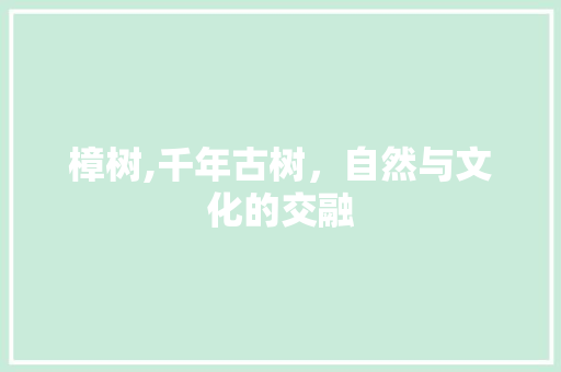 樟树,千年古树，自然与文化的交融