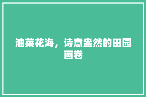 油菜花海，诗意盎然的田园画卷