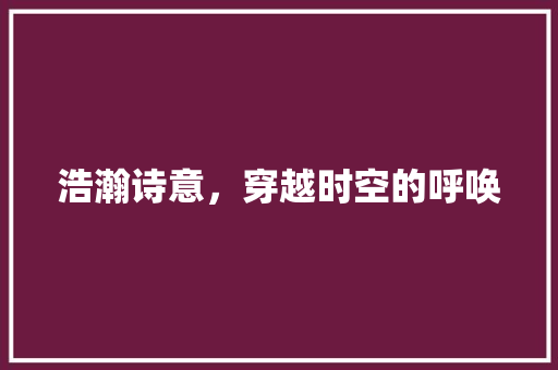 浩瀚诗意，穿越时空的呼唤