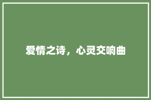 爱情之诗，心灵交响曲