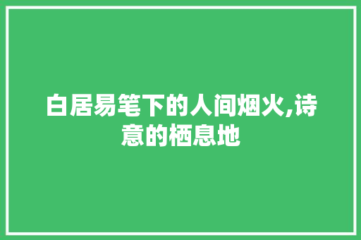 白居易笔下的人间烟火,诗意的栖息地